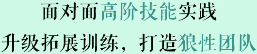 面对面专业技能实践,升级拓展训练，打造狼性团队